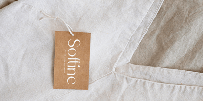 Qasntel Font Poster 5