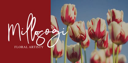 Modista Signature Font Poster 5