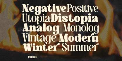 Tropical Squad Font Poster 9