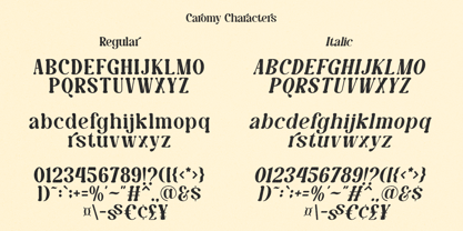 Tropical Squad Font Poster 11