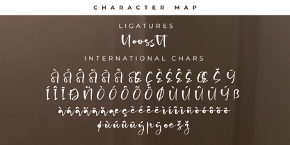 Charming Ballerina Font Poster 8