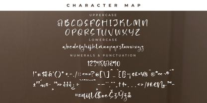 Charming Ballerina Font Poster 7