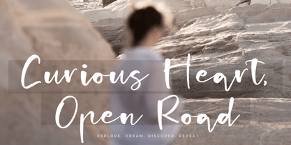 Charming Ballerina Font Poster 2