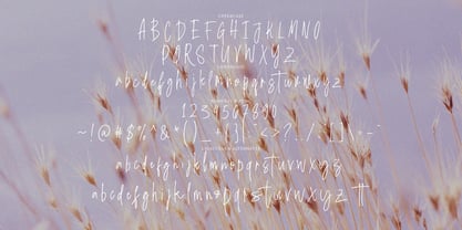 Hiykosa Signature Font Poster 7