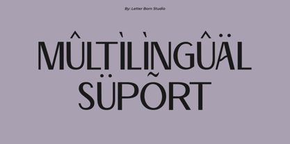 Sania Gracia Font Poster 12