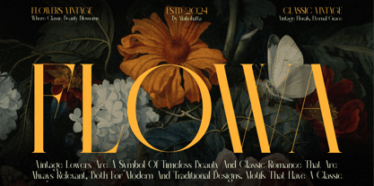 Mote Cainge Font Poster 2