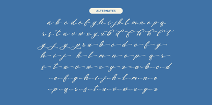 Gartenya Calligraph Font Poster 13