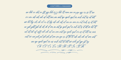 Gartenya Calligraph Font Poster 14