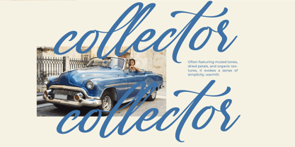 Gartenya Calligraph Font Poster 11