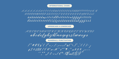 Gartenya Calligraph Font Poster 15