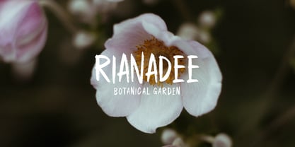 Medalin Brush Font Poster 3