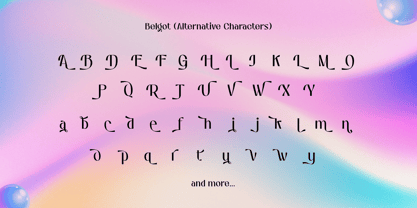 Belgot Font Poster 13