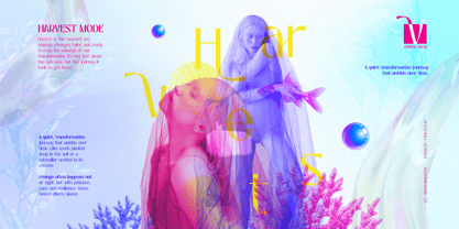 Belgot Font Poster 5