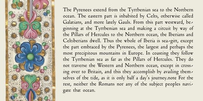 Flanker Inkunabula Font Poster 7