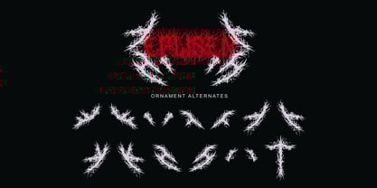 Codams Font Poster 7