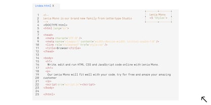 Lenia Mono Font Poster 3