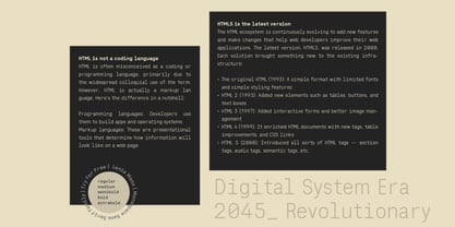 Lenia Mono Font Poster 5