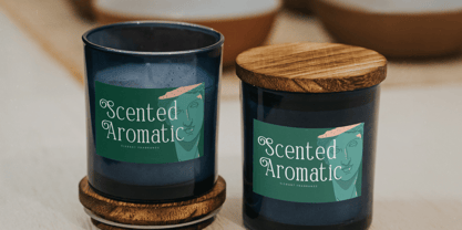 Timeless Silvera Font Poster 4