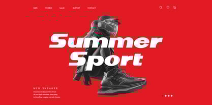 DV Curtis Sans Font Poster 6