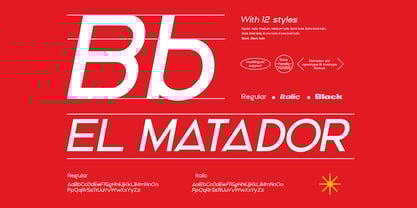 DV Curtis Sans Font Poster 14