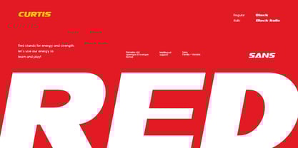 DV Curtis Sans Font Poster 2