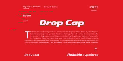 DV Curtis Sans Font Poster 12