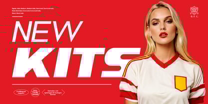 DV Curtis Sans Font Poster 9