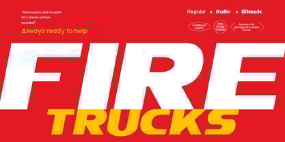 DV Curtis Sans Font Poster 10