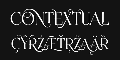 Surroundski Font Poster 7