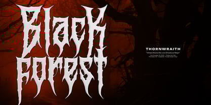 Critica Font Poster 2