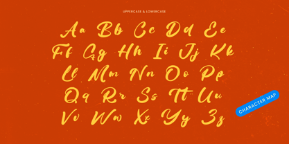 Delicate Routine Font Poster 13