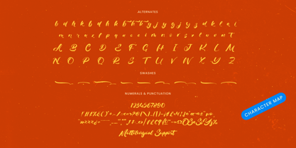 Delicate Routine Font Poster 15