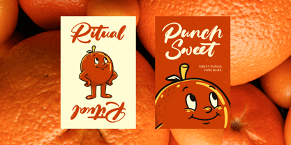 Delicate Routine Font Poster 6