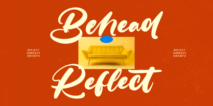 Delicate Routine Font Poster 4