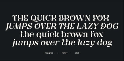 Qyore Serif Display Font Poster 9