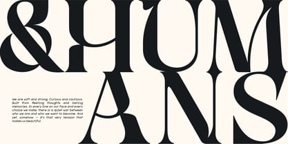 Qyore Serif Display Font Poster 10
