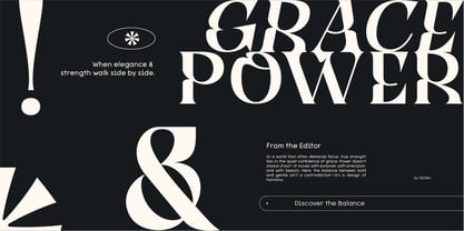 Qyore Serif Display Font Poster 4