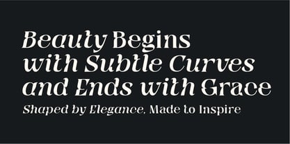 Qyore Serif Display Font Poster 5