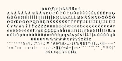 Qyore Serif Display Font Poster 6