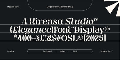 Qyore Serif Display Font Poster 2