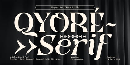 Qyore Serif Display Font Poster 1