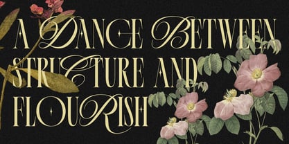 Cerova Font Poster 2