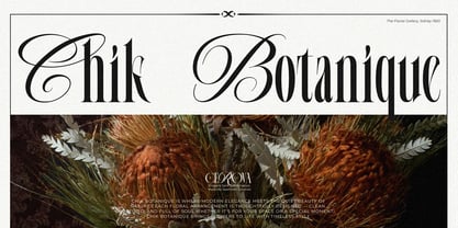Cerova Font Poster 11