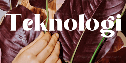 Premising Font Poster 5