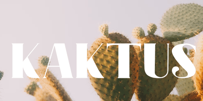 Premising Font Poster 6