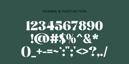 Premising Font Poster 4