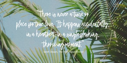 Otsudaki Brush Font Poster 5