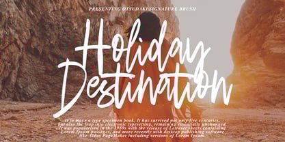 Otsudaki Brush Font Poster 9