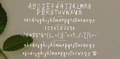 Otsudaki Brush Font Poster 10