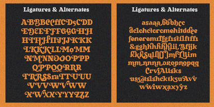 Baksiva Font Poster 6